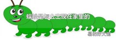 蜈蚣是怎么出现在家里的