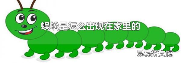蜈蚣是怎么出现在家里的