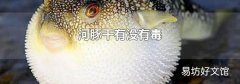 河豚干有没有毒