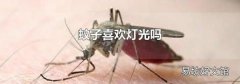 蚊子喜欢灯光吗