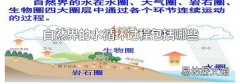 自然界的水循環過程包括哪些