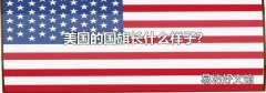 美國的國旗長什么樣子?
