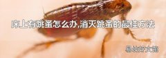 床上有跳蚤怎么办,消灭跳蚤的最佳方法