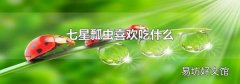 七星瓢虫喜欢吃什么