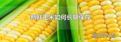 新鲜玉米如何长期保存