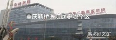 重庆新桥医院属于哪个区