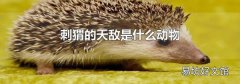 刺猬的天敌是什么动物