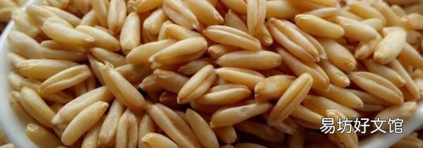 燕麦米可以泡一晚上吗