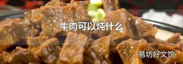 牛肉可以炖什么