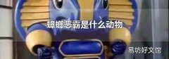 蟑螂恶霸是什么动物