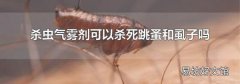 杀虫气雾剂可以杀死跳蚤和虱子吗