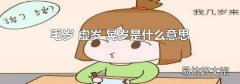 毛岁 虚岁 晃岁是什么意思