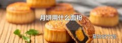 月饼用什么面粉