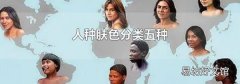 人种肤色分类五种