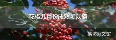 花椒几月份成熟可以摘