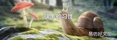蜗牛的习性
