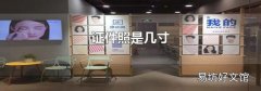 证件照是几寸