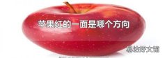 苹果红的一面是哪个方向