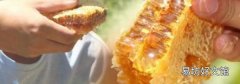 泥巴土蜂窝有什么用
