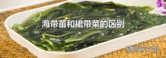 海带苗和裙带菜的区别
