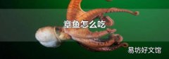 章鱼怎么吃