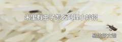 米里有虫子怎么处理小妙招