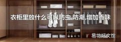 衣柜里放什么可以防虫,防潮,增加香味