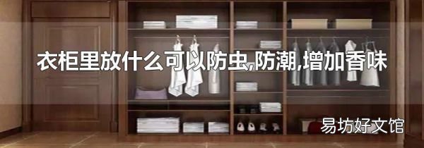 衣柜里放什么可以防虫,防潮,增加香味