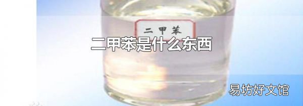 二甲苯是什么东西