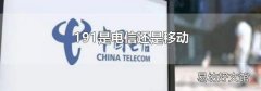 191是电信还是移动