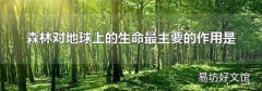 森林对地球上的生命最主要的作用是