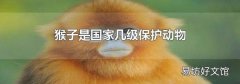 猴子是国家几级保护动物
