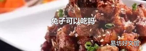 兔子可以吃嗎