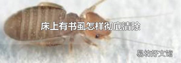 床上有书虱怎样彻底清除
