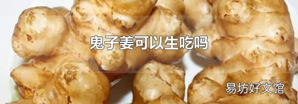 鬼子姜可以生吃吗