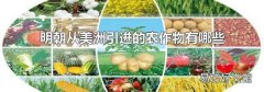明朝从美洲引进的农作物有哪些