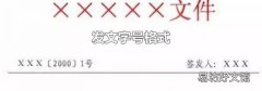 发文字号格式