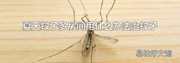夏天蚊子多房间用什么办法治蚊子