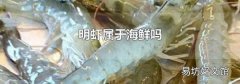 明虾属于海鲜吗