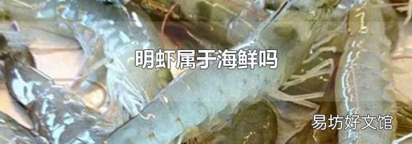 明虾属于海鲜吗