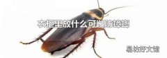 衣柜里放什么可以防蟑螂