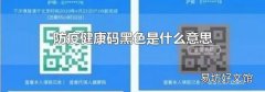 防疫健康码黑色是什么意思