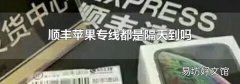 顺丰苹果专线都是隔天到吗