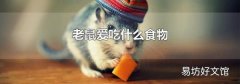 老鼠爱吃什么食物
