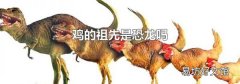 鸡的祖先是恐龙吗