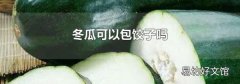 冬瓜可以包饺子吗