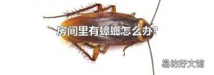 房间里有蟑螂怎么办?
