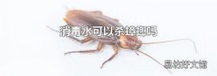 消毒水可以杀蟑螂吗