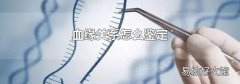 血缘关系怎么鉴定