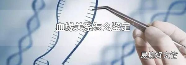 血缘关系怎么鉴定